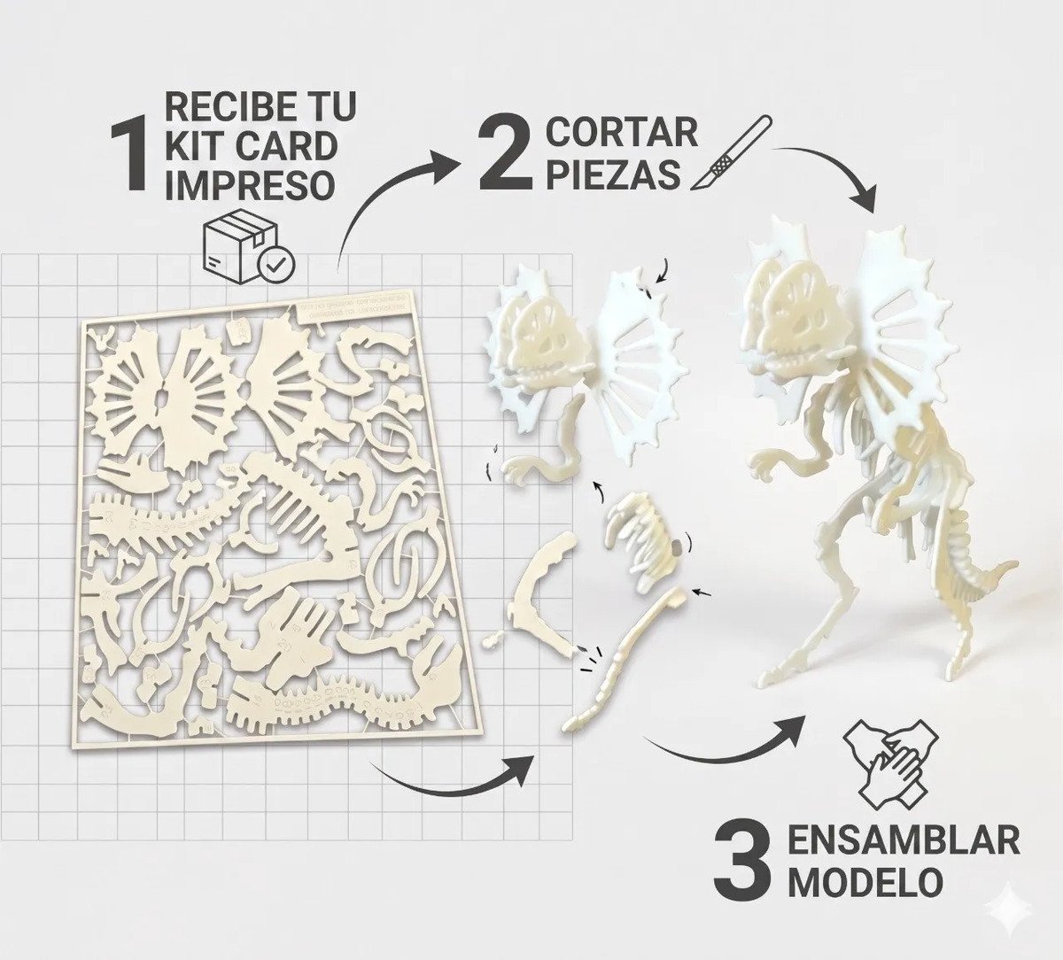 Kit De Construcción Esqueleto De Dinosaurio 3d 1 Dilophosaurus