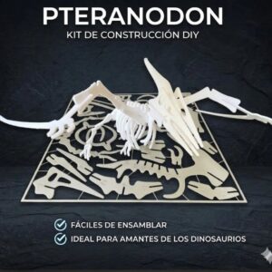 Kit De Construcción Esqueleto De Dinosaurio 3d 1 Pteranodon