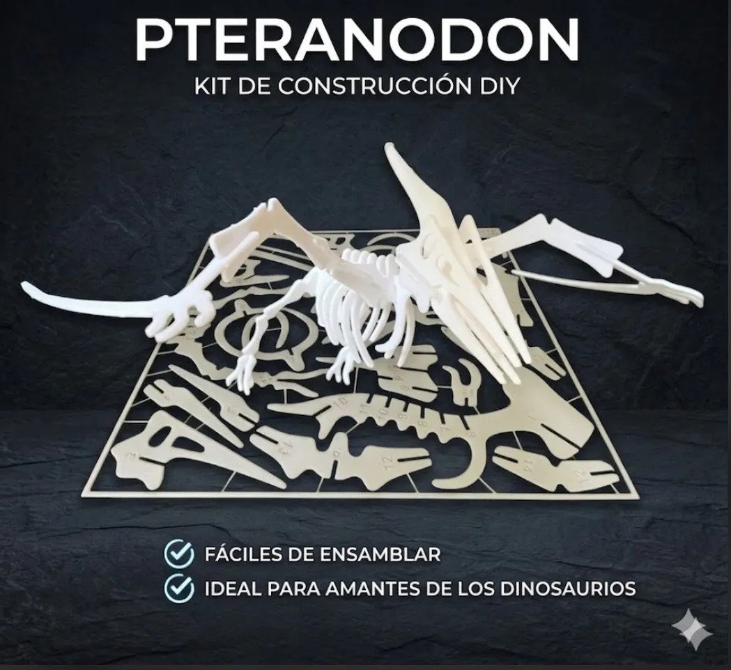 Kit De Construcción Esqueleto De Dinosaurio 3d 1 Pteranodon